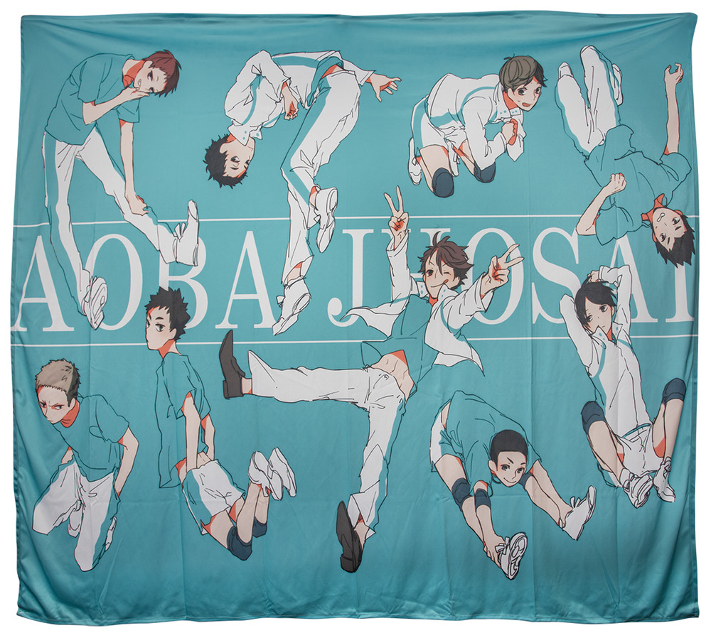 Haikyuu Wall Art Hanging Tapestry 51" x 60" Dorm/Room Decor - NEW
